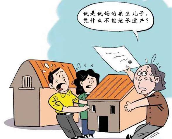亲生儿子不能继承母亲遗产，凭什么？