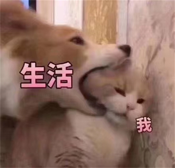 丈夫立遗嘱将财产都留给父母 妻子能追要吗？